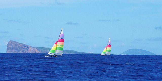 Half day of water activities hobie cat windsurfing sup (10)
